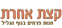 קצת אחרת נצרת עילית