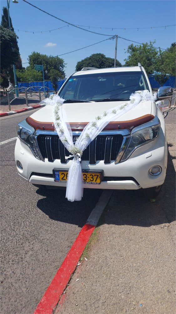 קישוט רכב