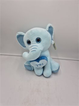 פילון הולדת בן