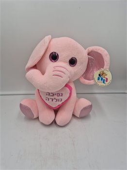 פילון הולדת בת