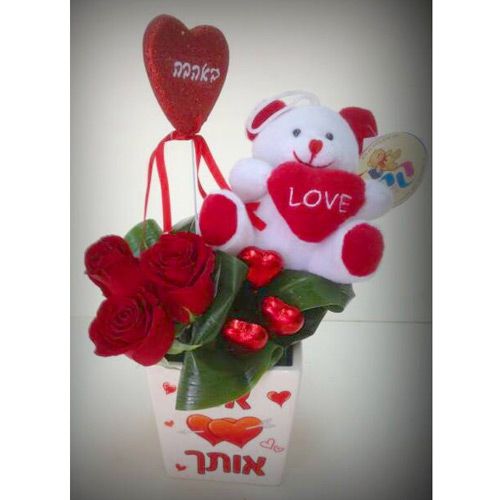 סידור מתוק דובי